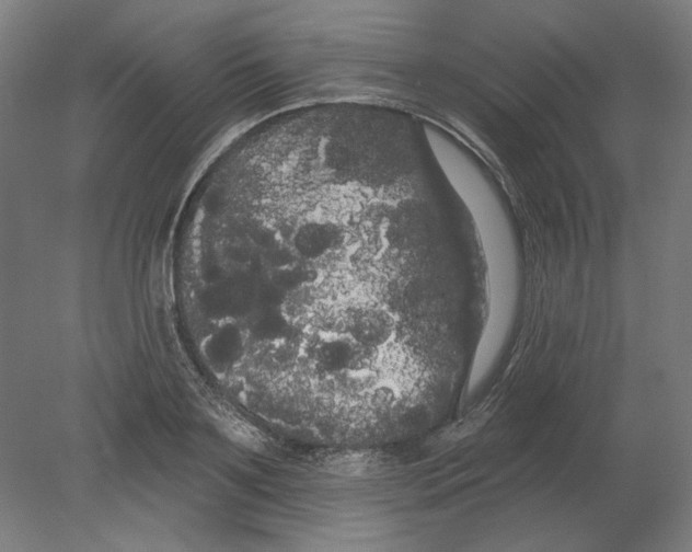 X0000080670891200701051005