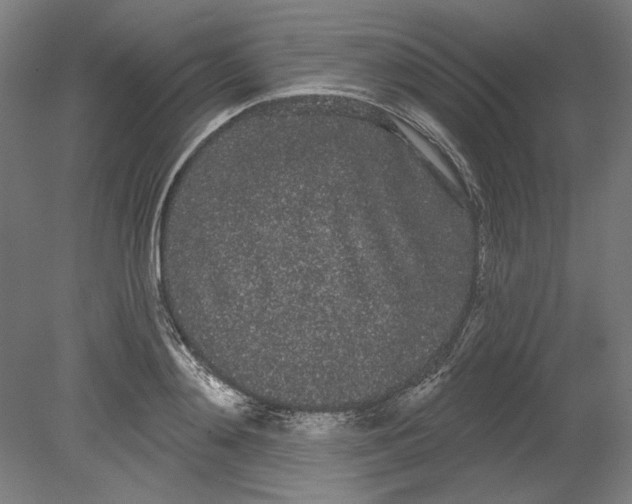 X0000080670892200701051005