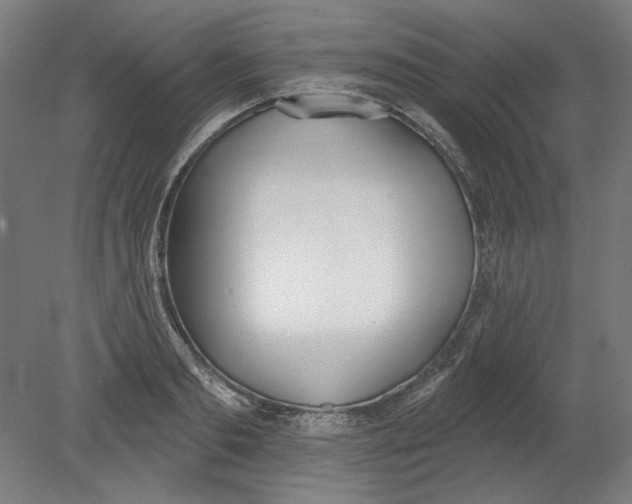 X0000080670893200701051005