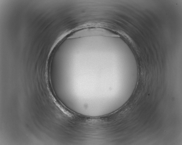 X0000080670894200701051005