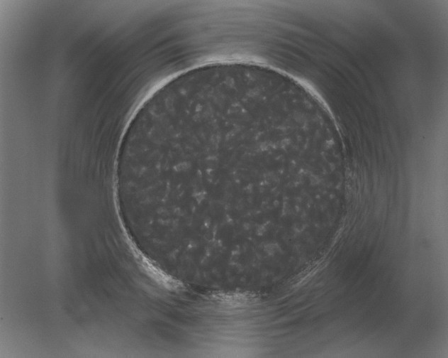 X0000080670895200701051005