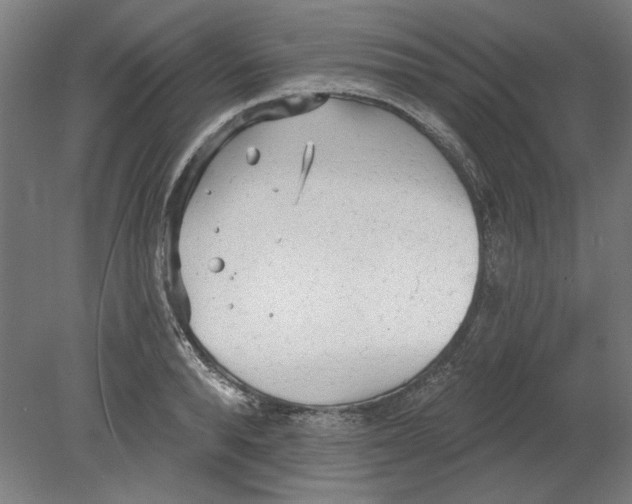 X0000080670896200701051005