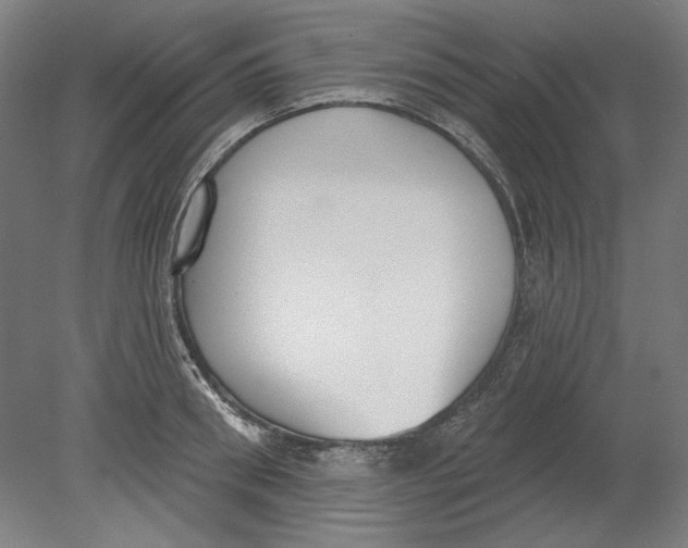 X0000080670898200701051005