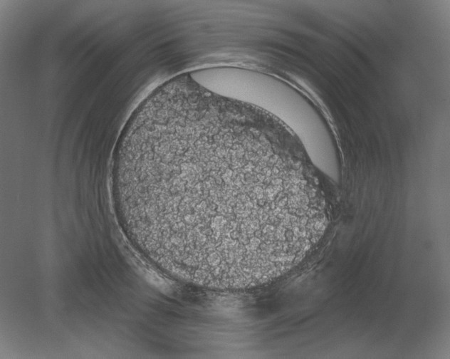 X0000080670899200701051005