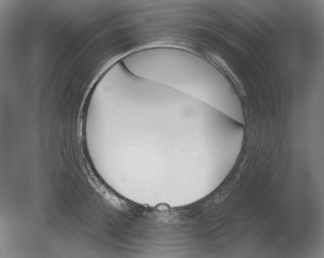 X0000080670900200701051005