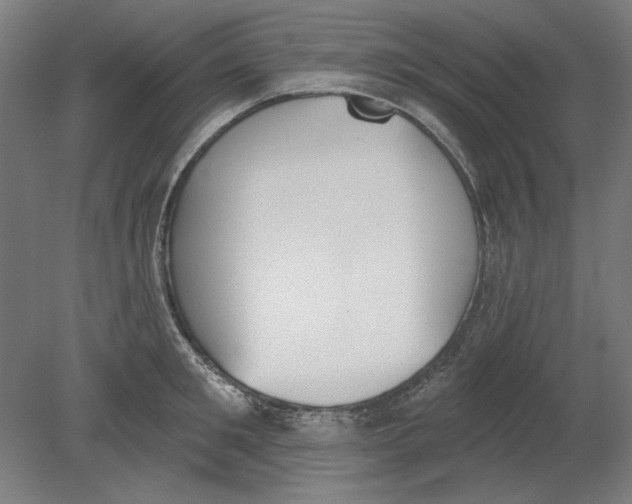 X0000080670901200701051005