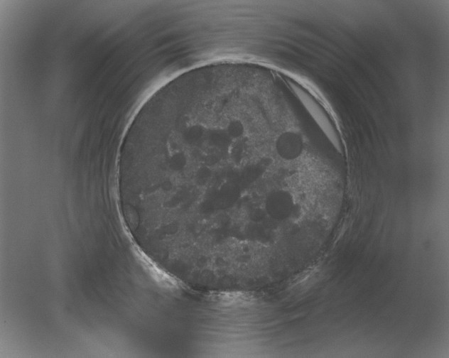 X0000080670903200701051005