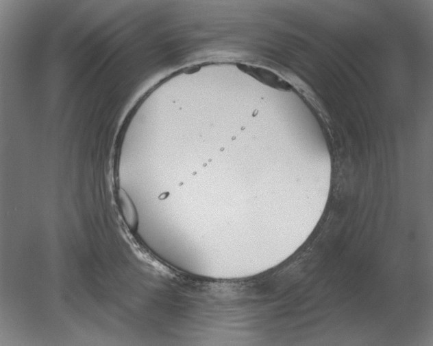 X0000080670904200701051005