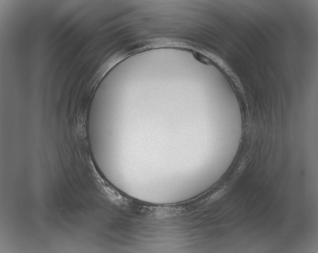 X0000080670905200701051005