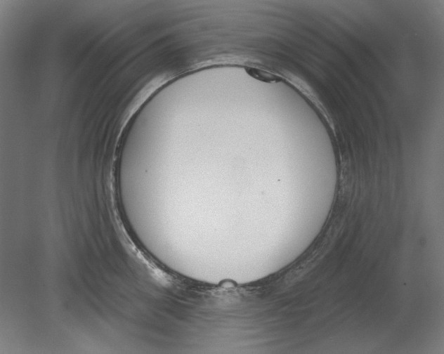 X0000080670906200701051005