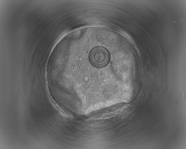 X0000080670907200701051005