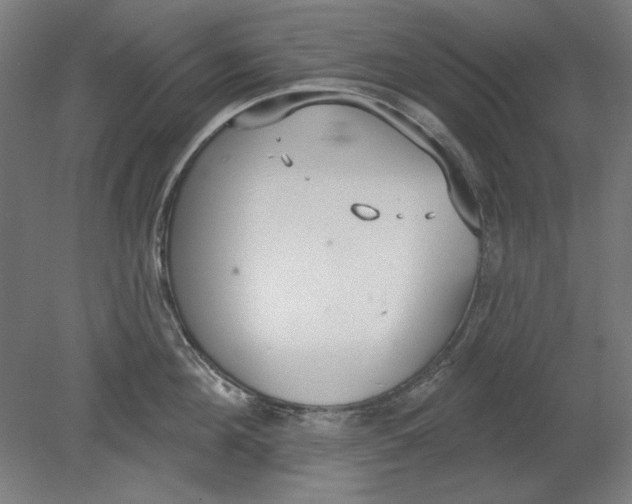 X0000080670908200701051005