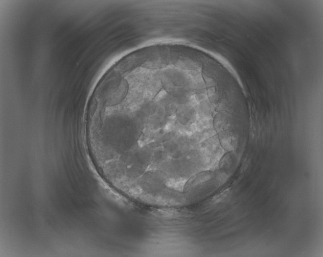 X0000080670911200701051005