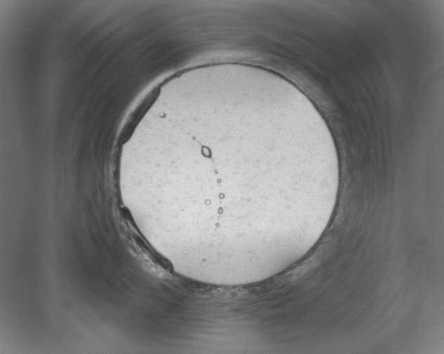 X0000080670912200701051005