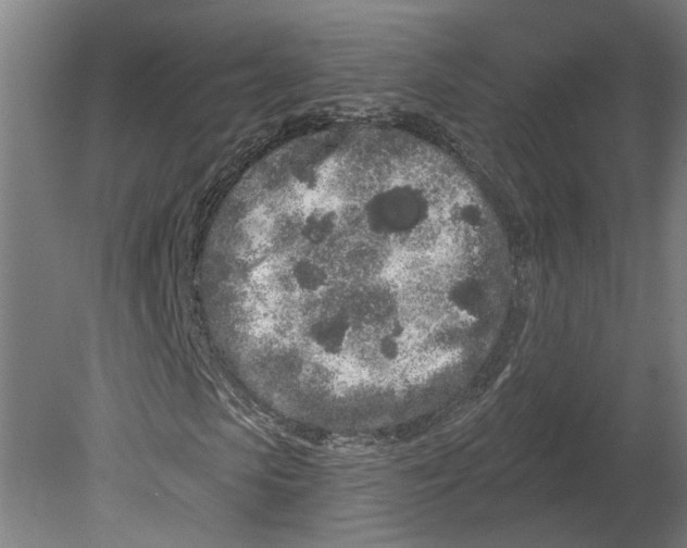 X0000080670913200701051004