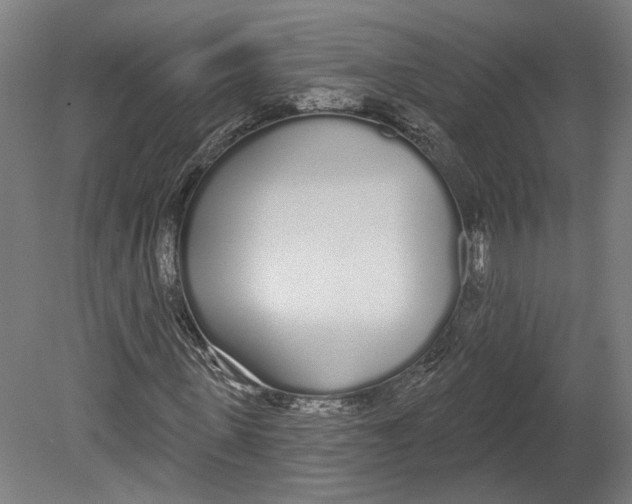 X0000080670915200701051004