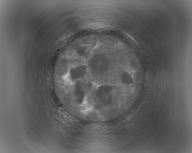 X0000080670917200701051004