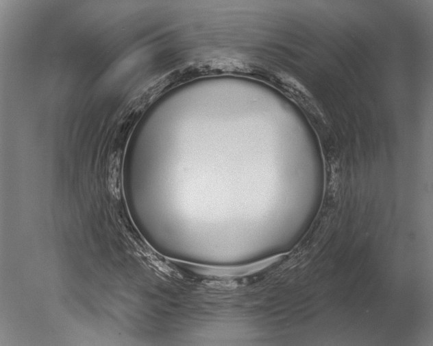 X0000080670919200701051004