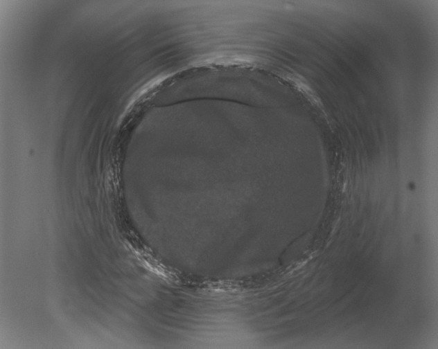 X0000080670920200701051004