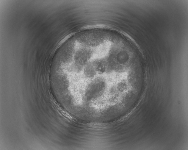 X0000080670921200701051004