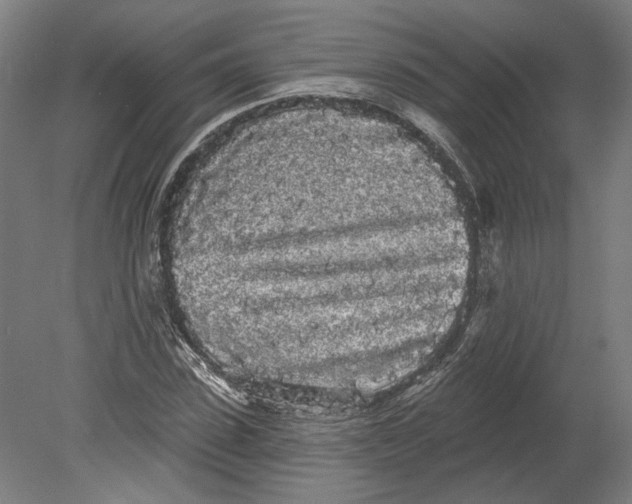 X0000080670923200701051004