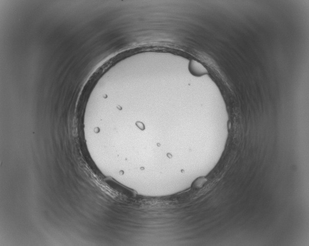 X0000080670924200701051004