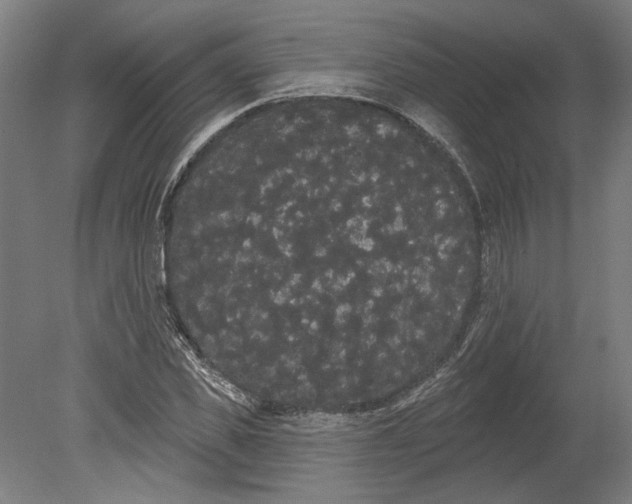 X0000080670925200701051004