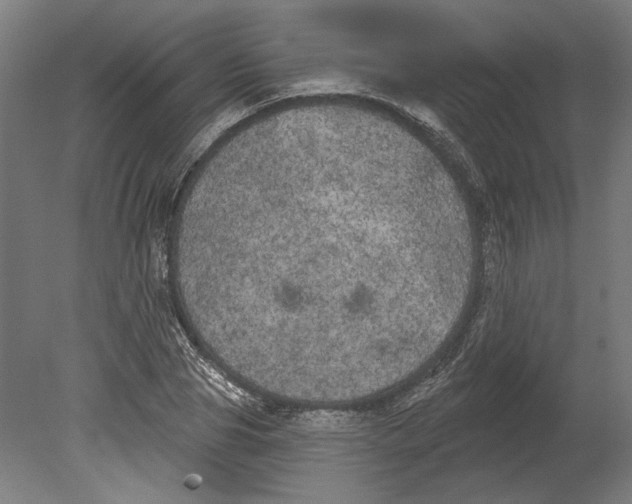 X0000080670929200701051004