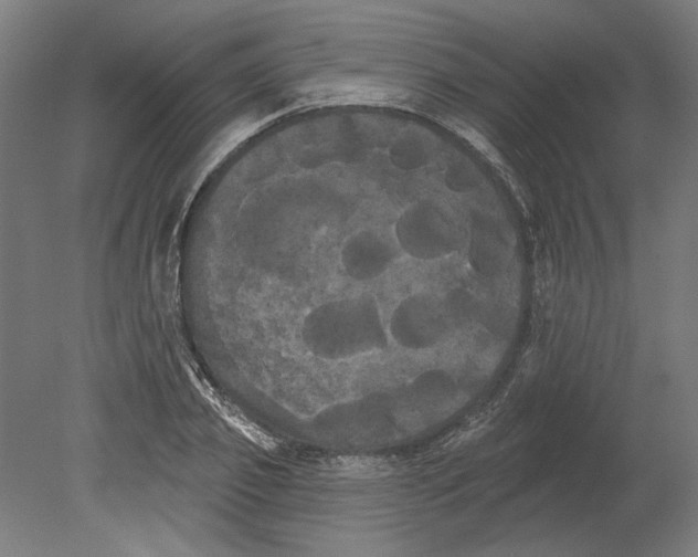 X0000080670933200701051004