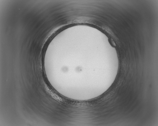 X0000080670934200701051005