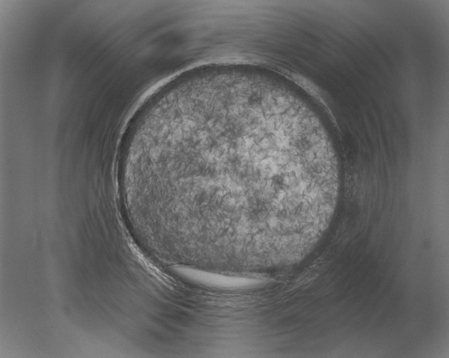 X0000080670935200701051005