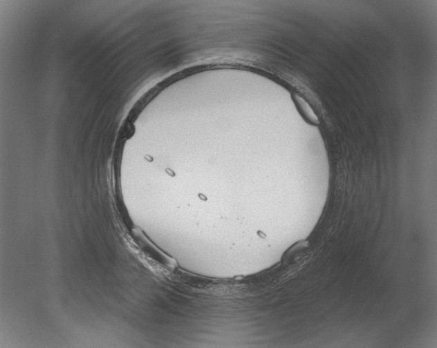 X0000080670936200701051005