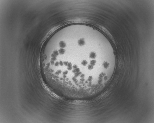 X0000080670938200701051005