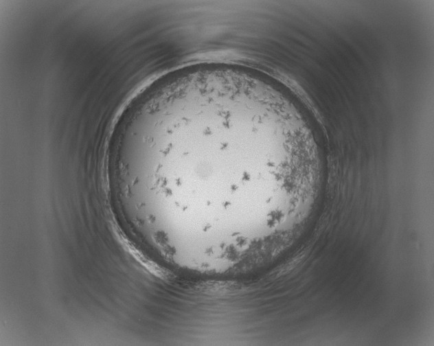 X0000080670939200701051005