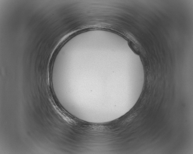 X0000080670940200701051005