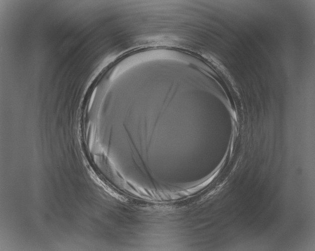 X0000080670941200701051005