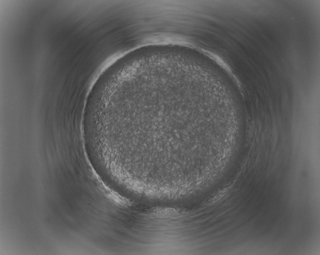 X0000080670943200701051005