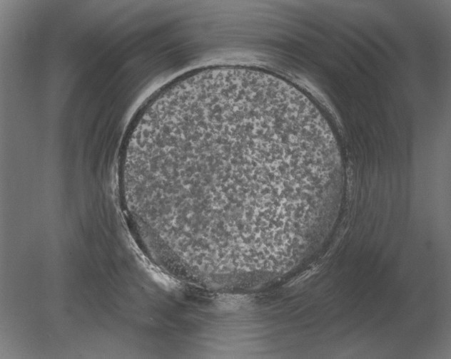 X0000080670944200701051005