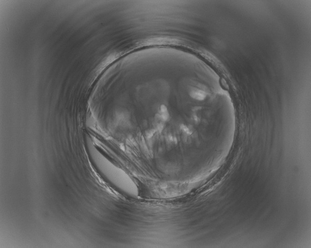 X0000080670945200701051005