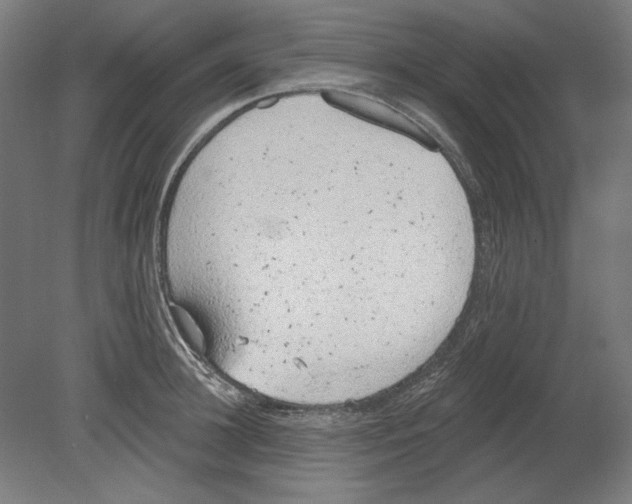 X0000080670948200701051005