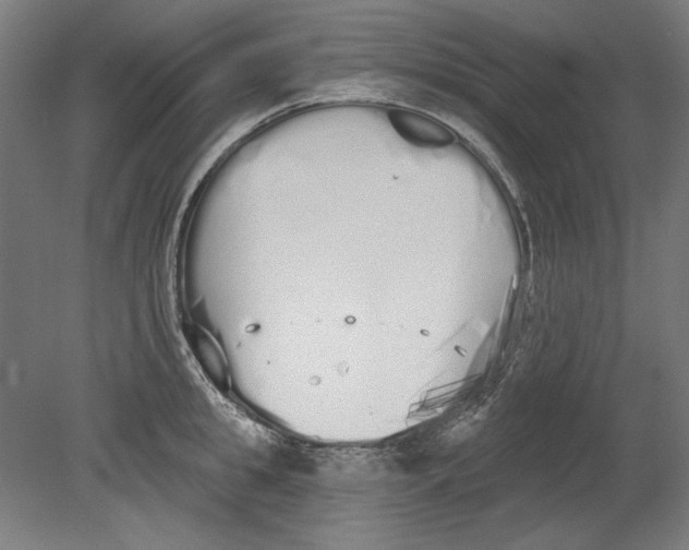 X0000080670949200701051005