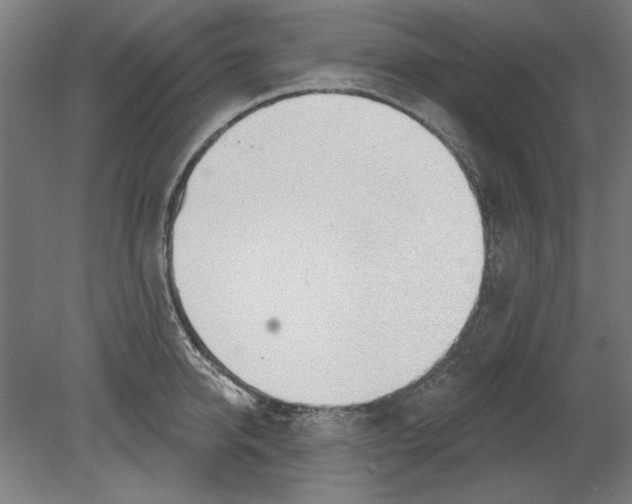 X0000080670950200701051005