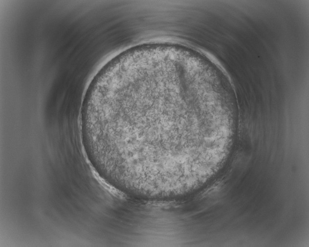 X0000080670951200701051005