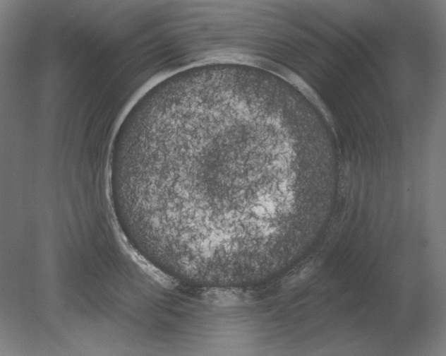 X0000080670955200701051005