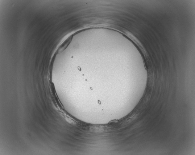 X0000080670956200701051005