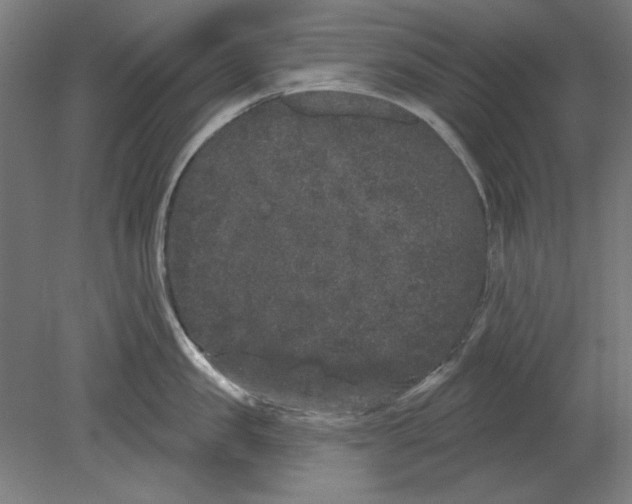 X0000080670957200701051005