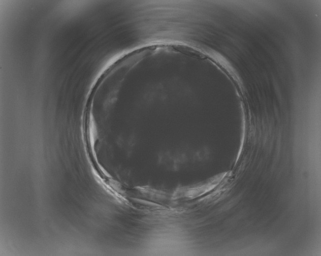 X0000080670958200701051005