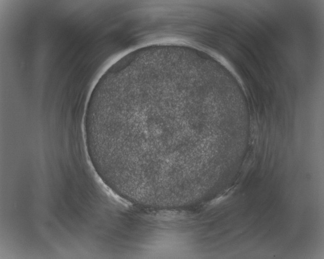 X0000080670959200701051005