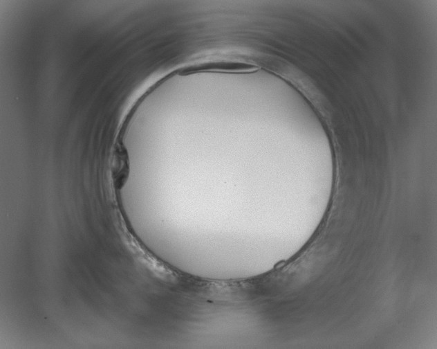 X0000080670960200701051005