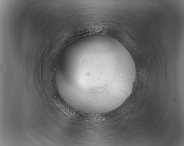 X0000080670961200701051004